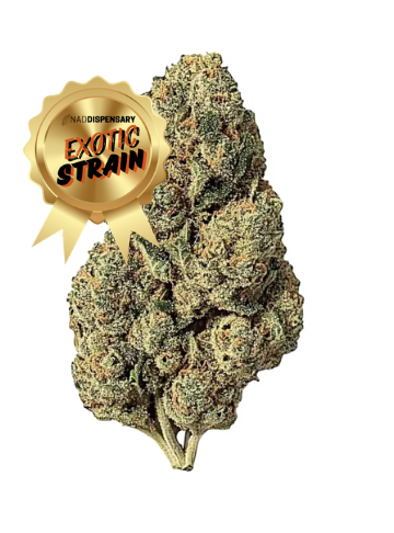 Lemon Dior | THCa Flower