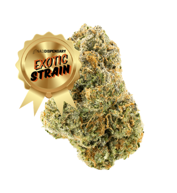 Tangerine Dream | THCa Flower