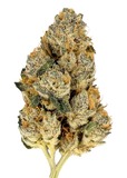 Amnesia Haze - THCa Flower