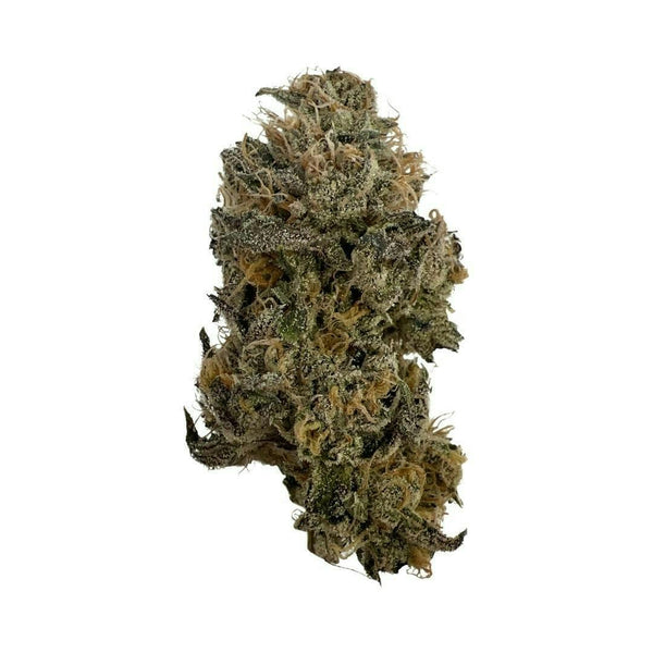 Black Zebra | THCa Flower