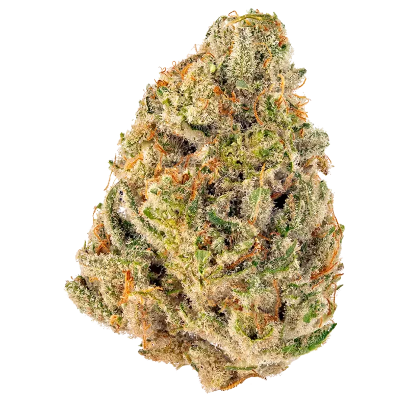 Melon Haze - THCa Flower