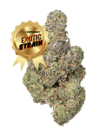 Dirty Zprite | THCa Flower