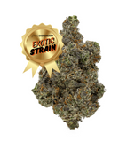 Bubblegum Runtz - THCa Flower