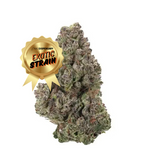 Gary Payton - THCa Flower