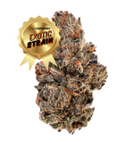 Orange Creamsicle - THCa Flower
