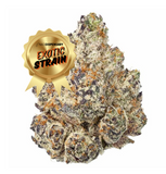 Purple Starburst - THCa Flower