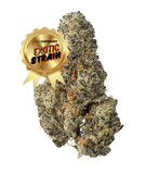 Purple Haze - THCa Flower