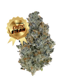 Splash - THCa Flower