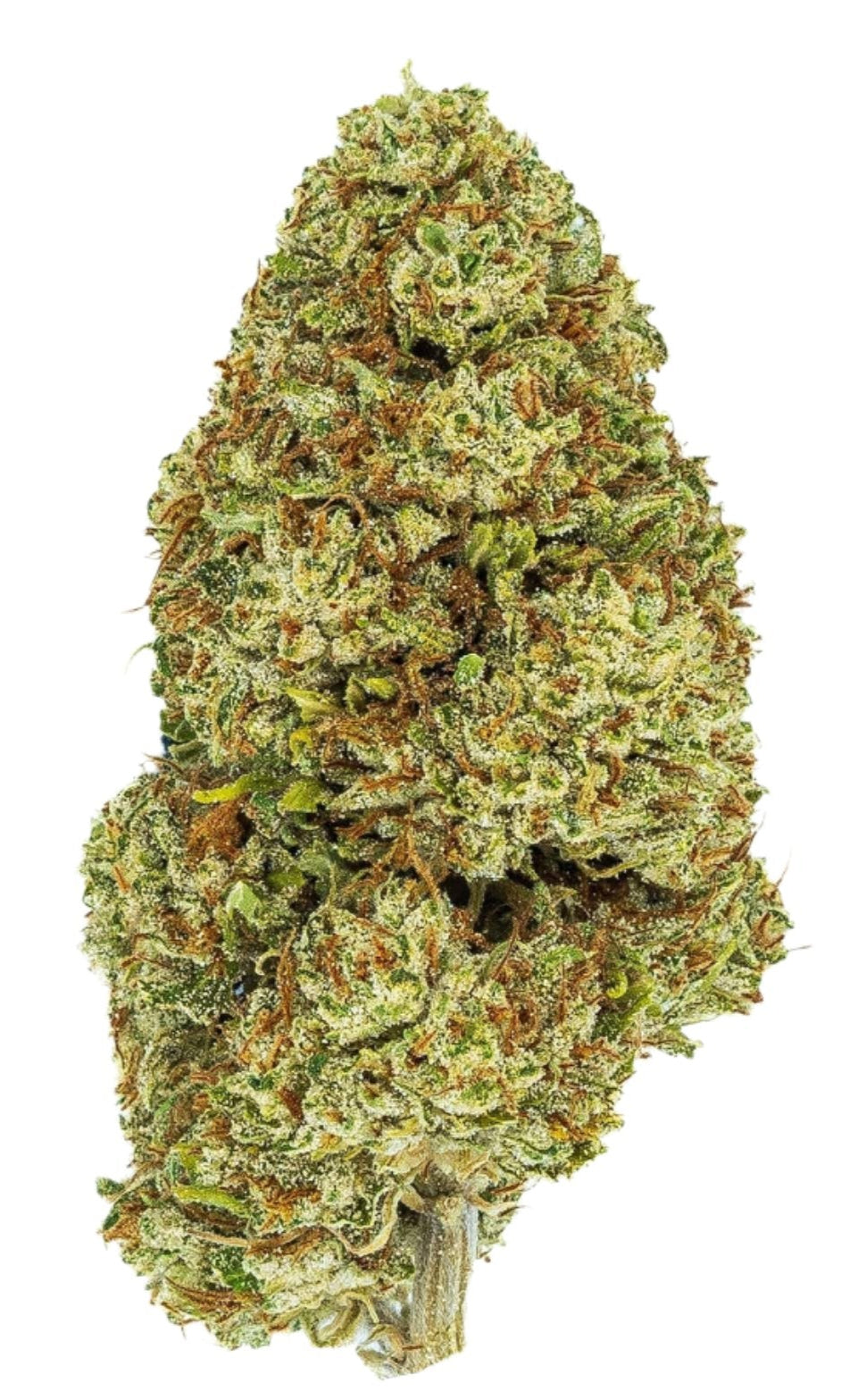 White CBG Hemp Flower