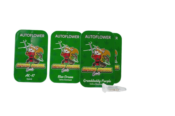 Samurai Squirrel Cannabis Seeds
