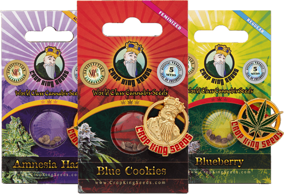 Cannabis Seeds