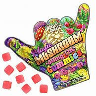 Shaka Sweets Mushroom + Δ9 THC